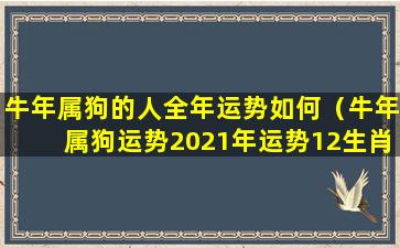 牛年属狗的人全年运势如何（牛年属狗运势2021年运势12生肖 🌷 ）